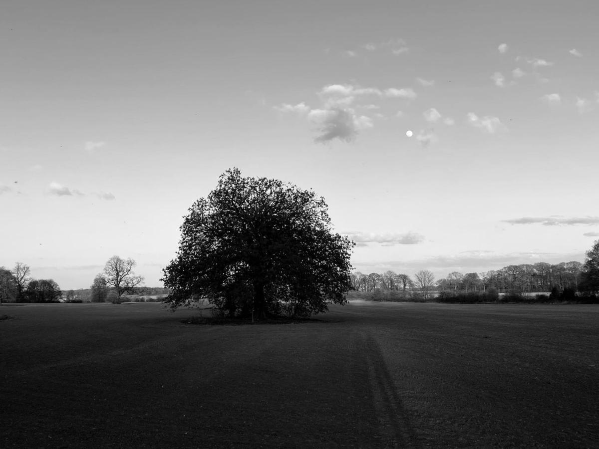 Wildes Inns Chesterfield Dış mekan fotoğraf