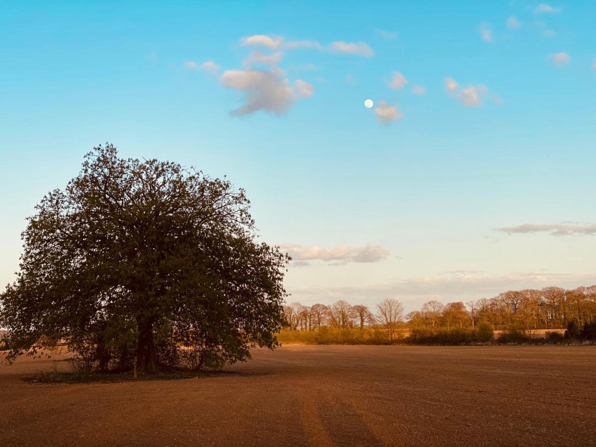 Wildes Inns Chesterfield Dış mekan fotoğraf