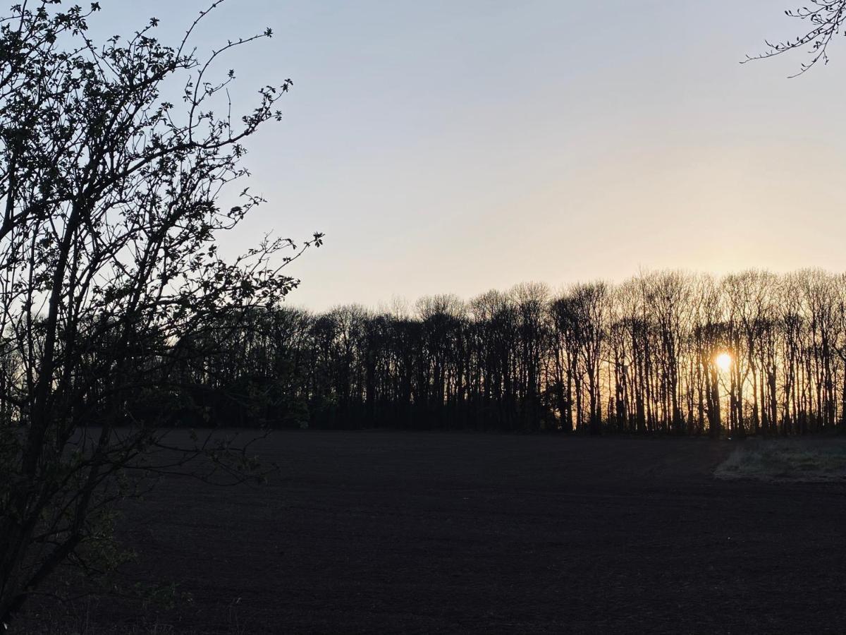 Wildes Inns Chesterfield Dış mekan fotoğraf