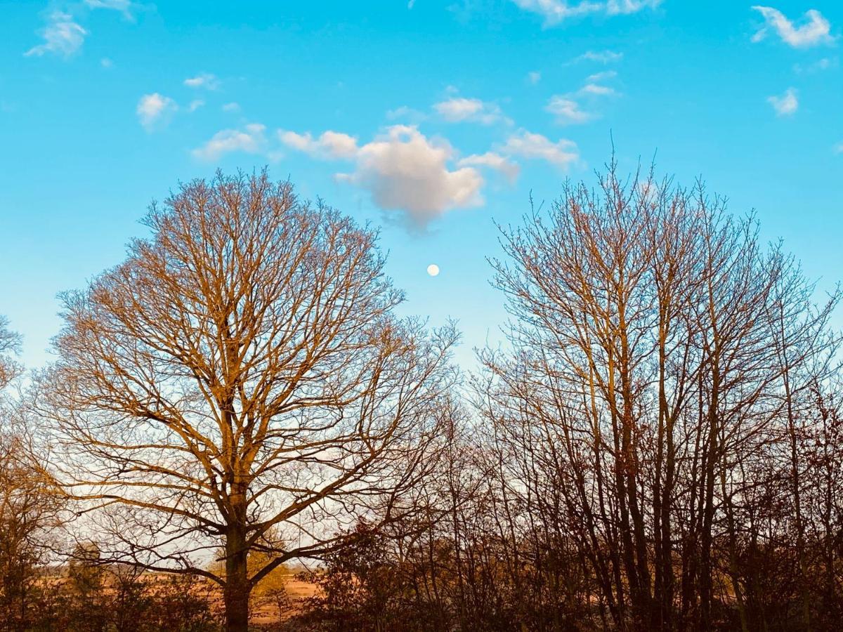 Wildes Inns Chesterfield Dış mekan fotoğraf